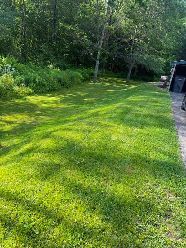 Lawn Care & Maintenance