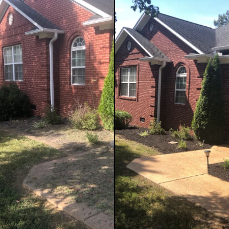 Lawn Maintenance