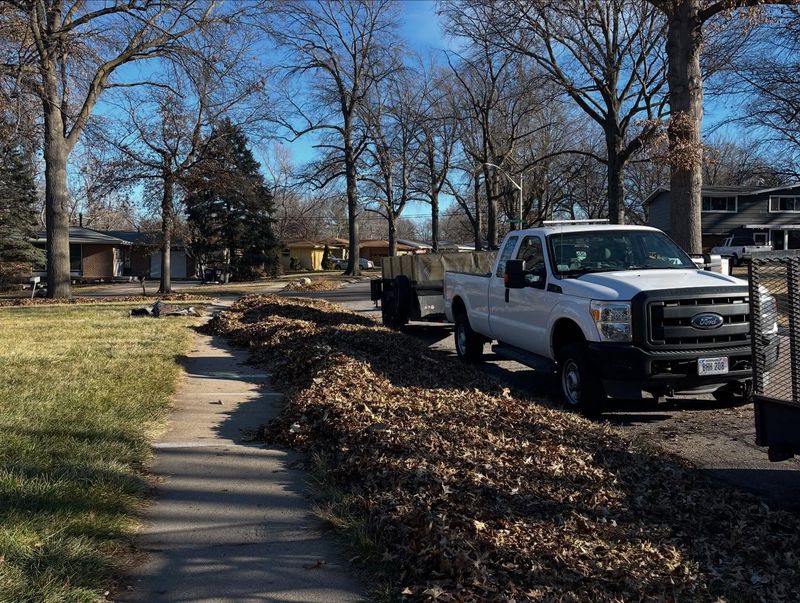 Lawn Maintenance