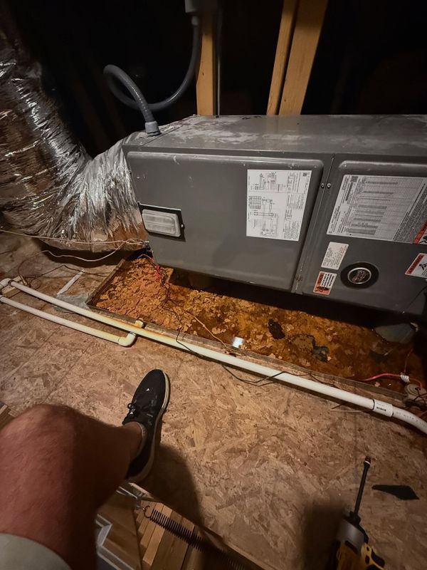 Routine Maintenance and Tune-ups