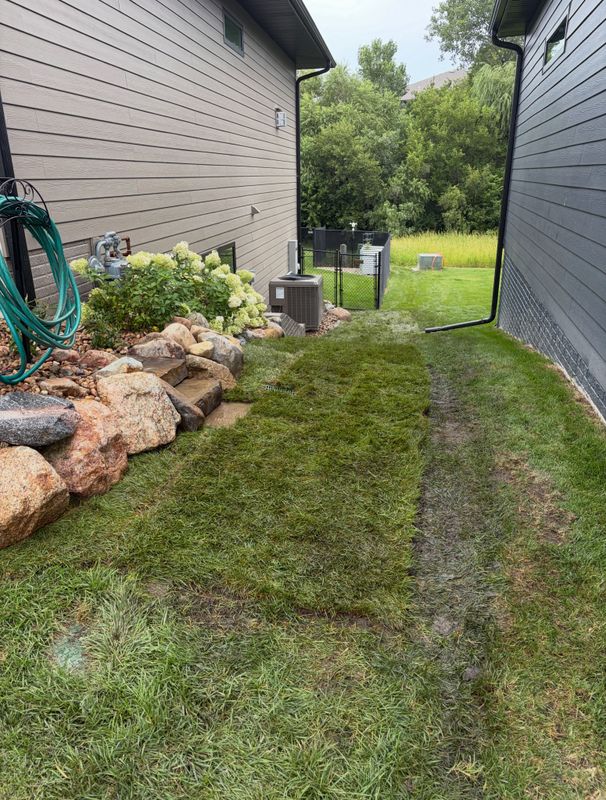 Lawn Maintenance