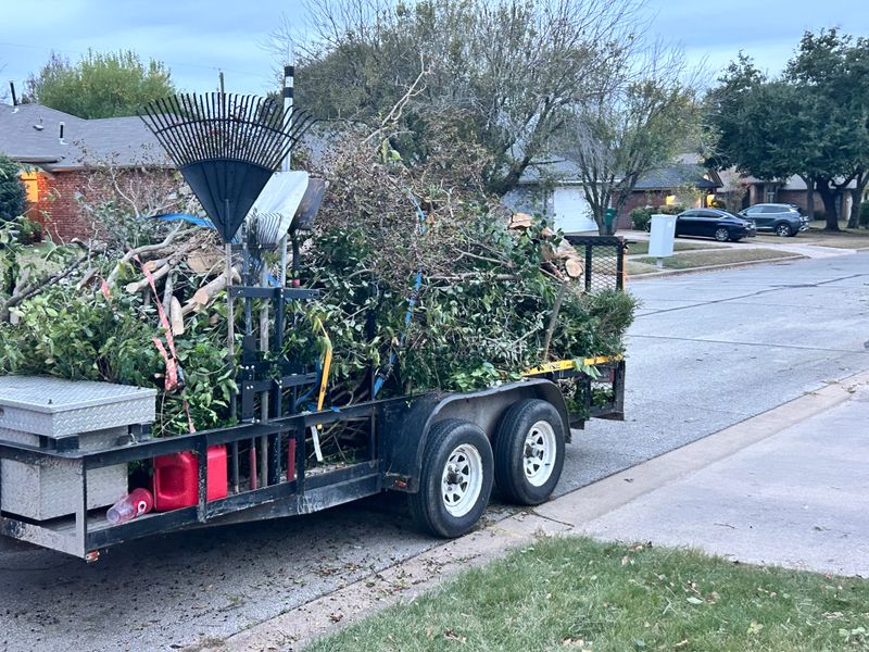 Shrubbery trimming and removal