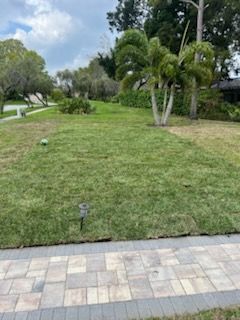 Lawn Care