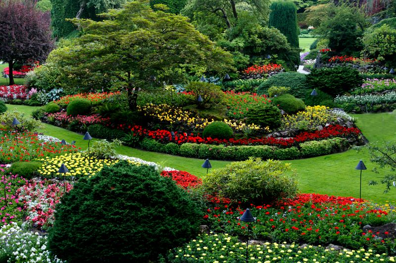 Garden Maintenance