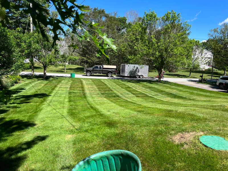 Lawn Aeration