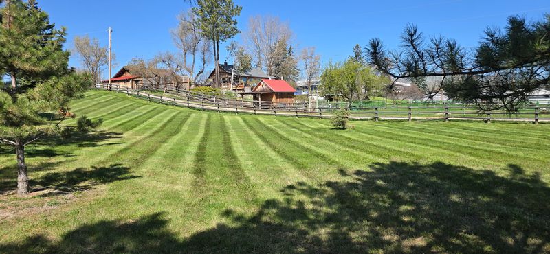 Lawn Maintenance