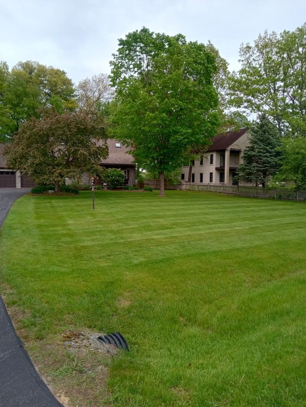Mowing