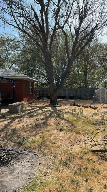 Tree Removal & Trimming