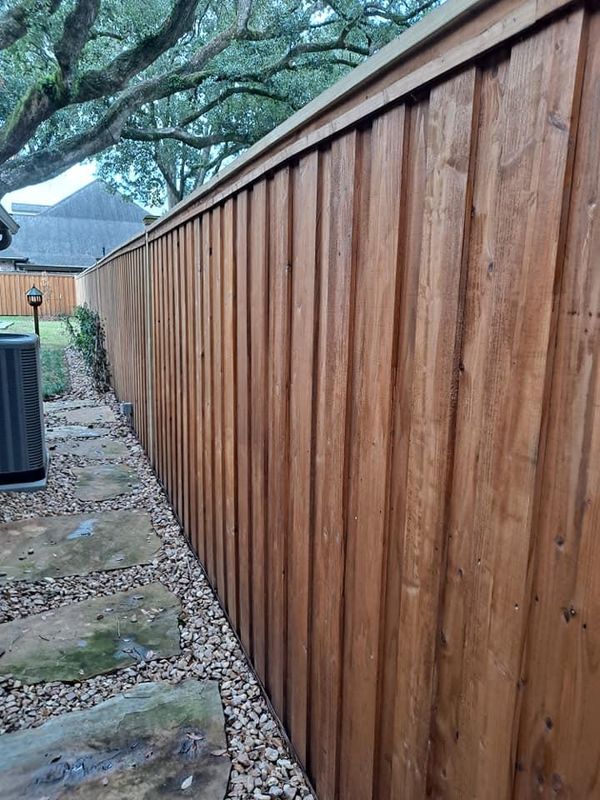 Staining