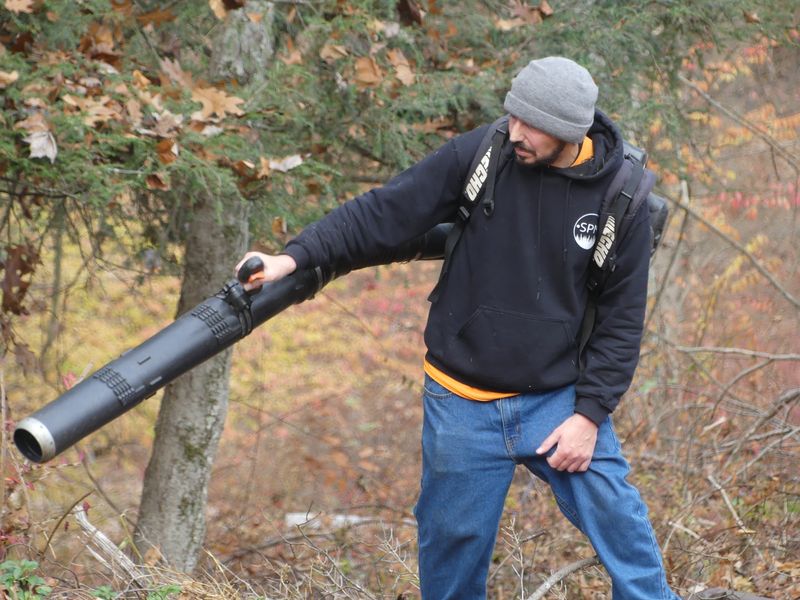 Seasonal Clean Ups
