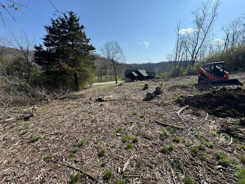 Land Clearing