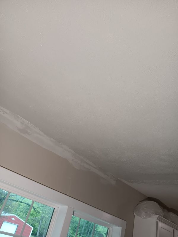 Subfloor repair and Beam Shoring