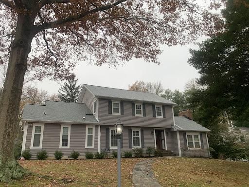 Gutter cleaning