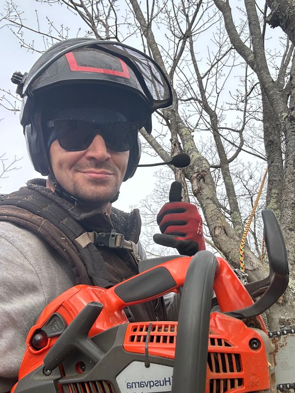 Tree Trimming