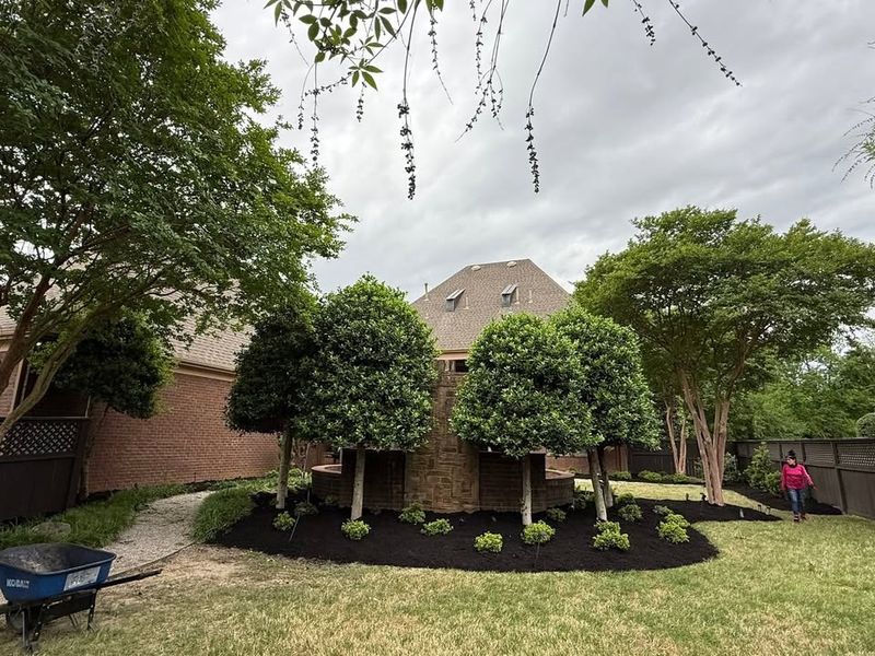 Mulch Installation