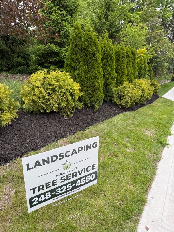 Shrub Trimming