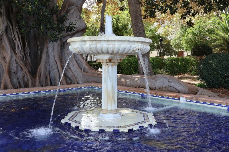 Landscape Design & Installation