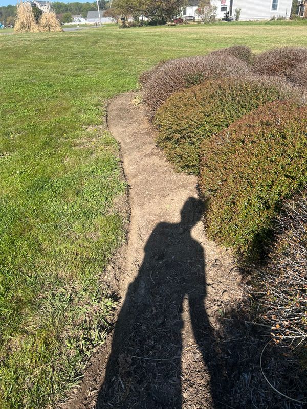 Shrub & Plant Trimming 