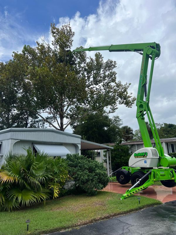 Tree Trimming and Removal