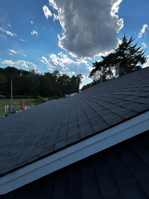 Roofing Repairs