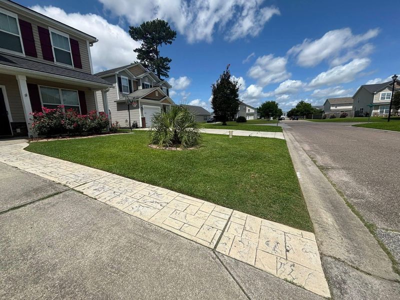 Landscape Design