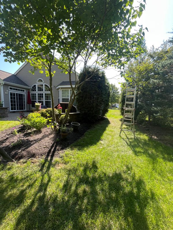 Landscaping