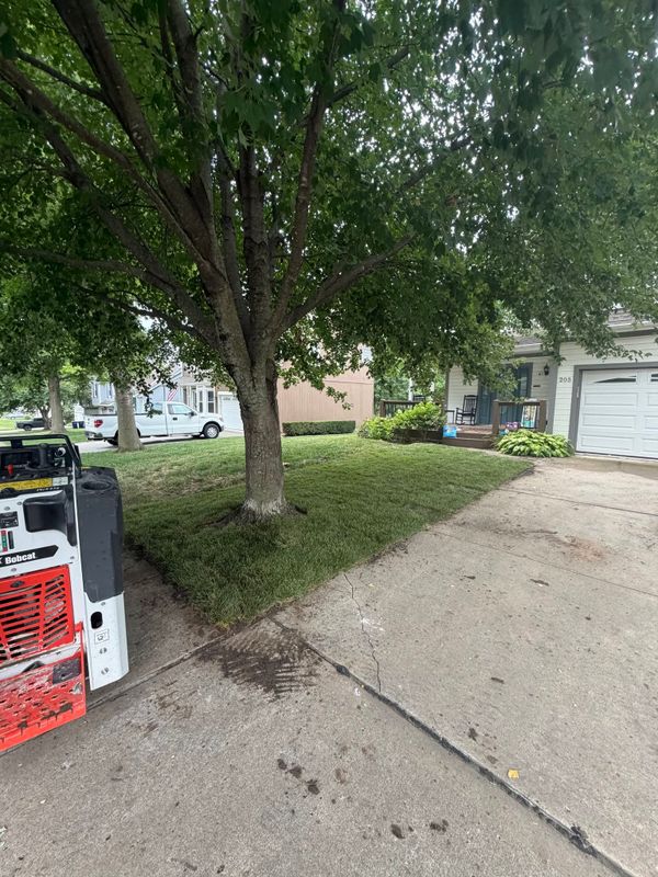Sod Installation