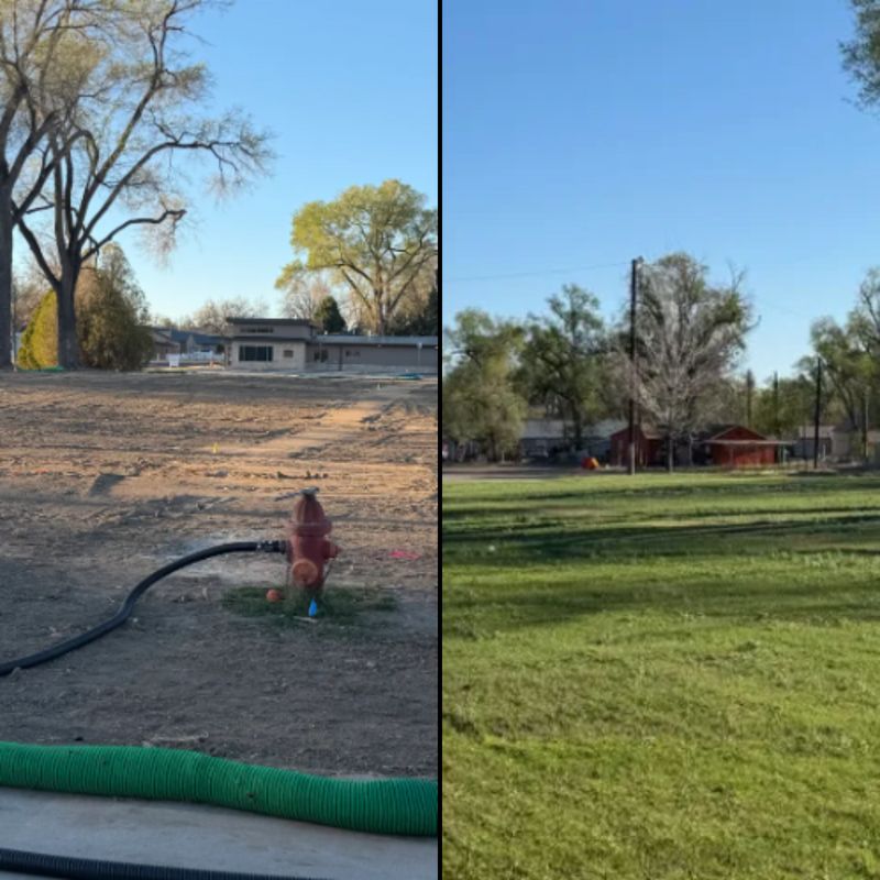 Hydroseeding