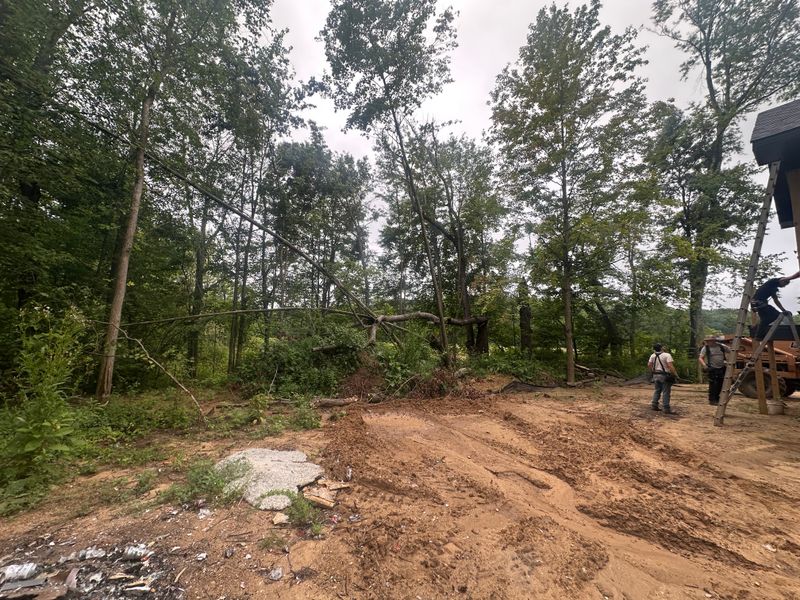 Excavation