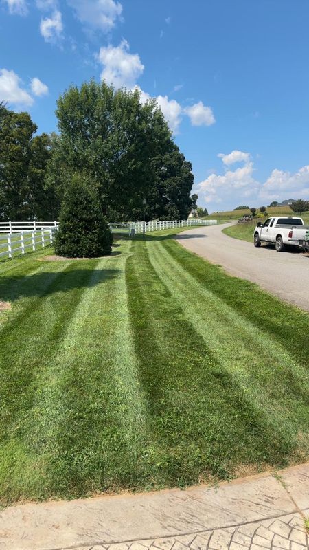 Landscaping 