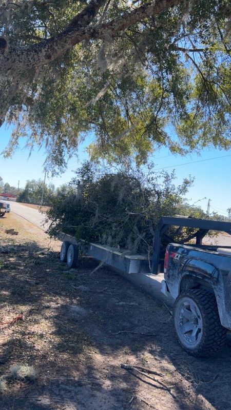 Tree Trimming gallery