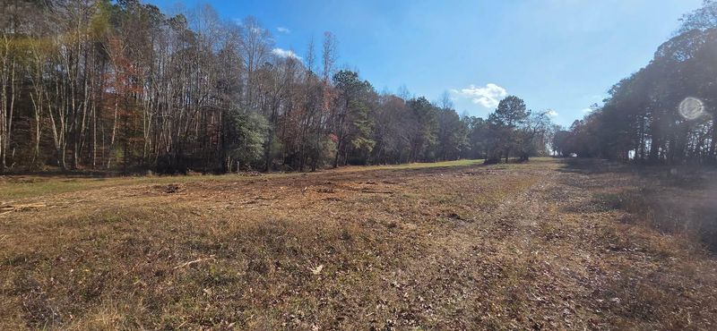 Brush Cutting