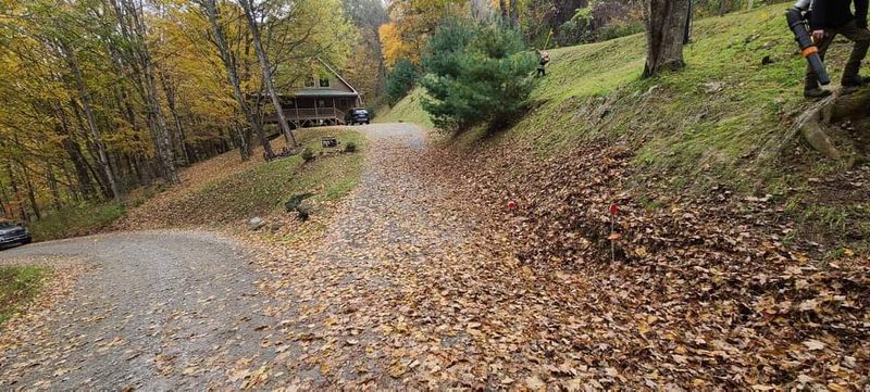 Fall Clean Up