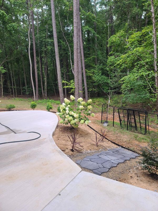 Landscape Design