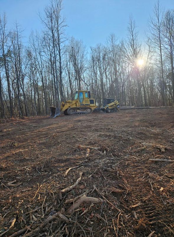 Tree Removal