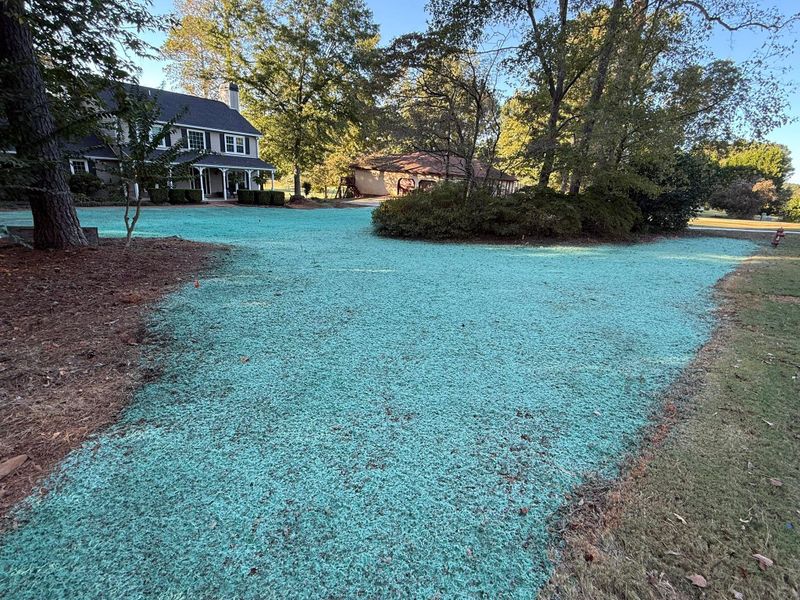 Hydroseeding gallery