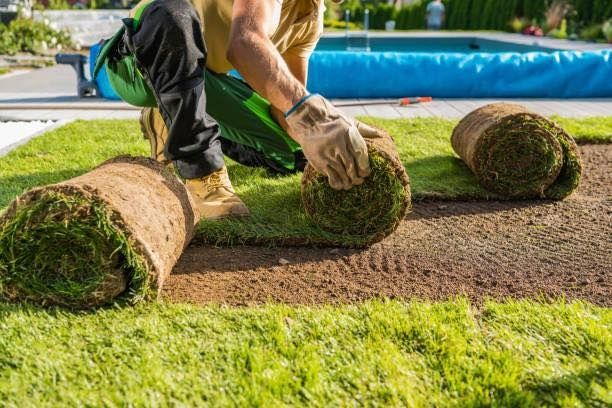Lawn Maintenance