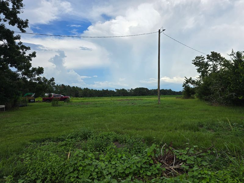 Land Clearing