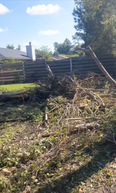 Tree Trimming & Removal