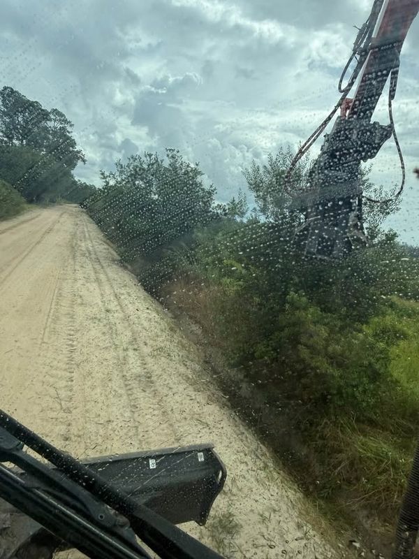 Land Clearing
