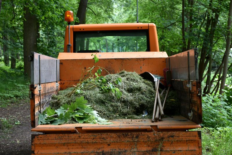 Tree Services