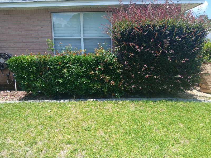 Lawn Maintenance