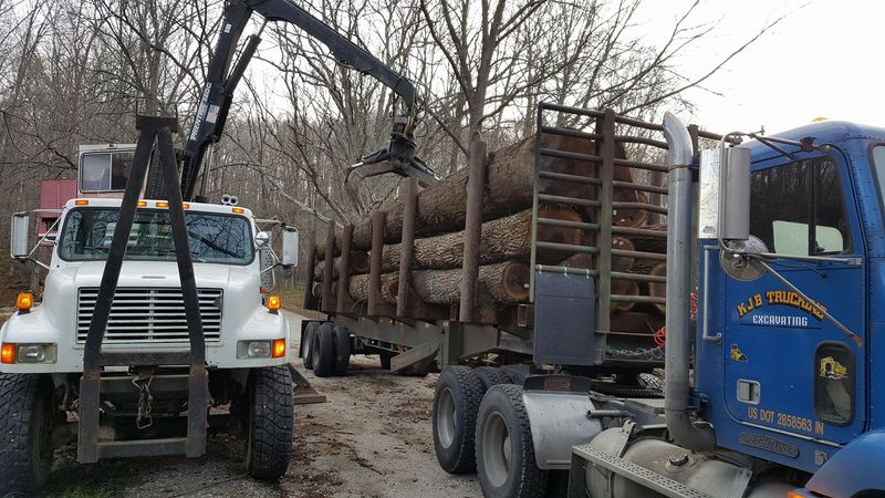 Logging gallery