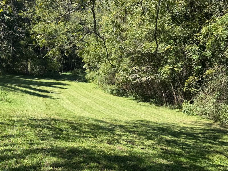 Lawn Maintenance