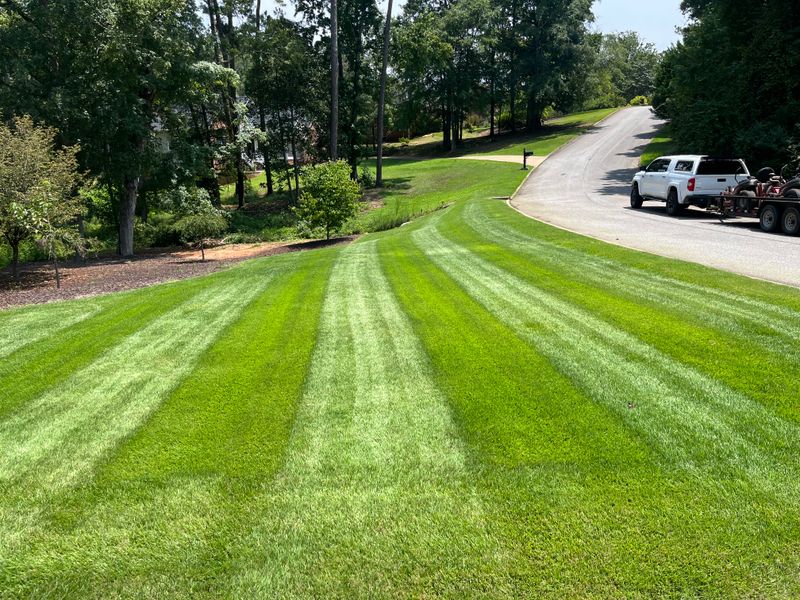 Lawn Care & Maintenance