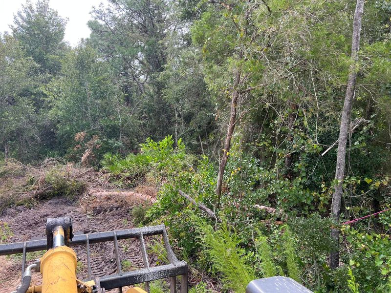 Land Clearing & Demolition