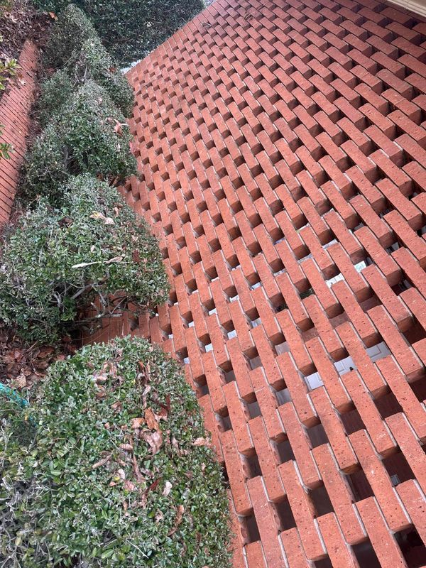 Shrub Removal