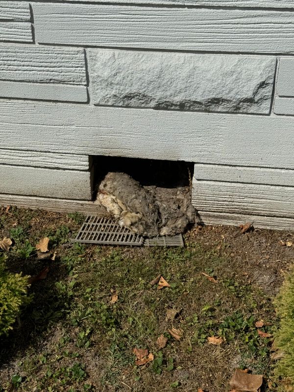 Crawlspace/Attic Renovation 