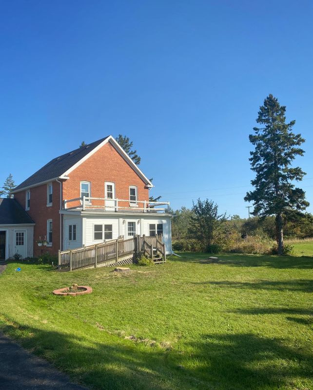 Tree Removal gallery