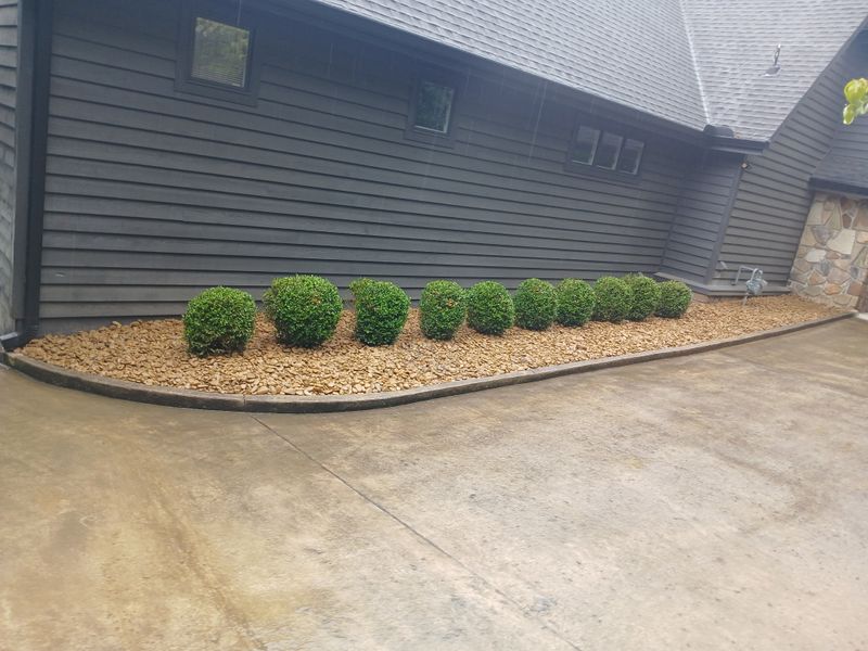 Shrub Trimming